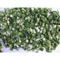 Dehydrated spring onion rolls or flakes